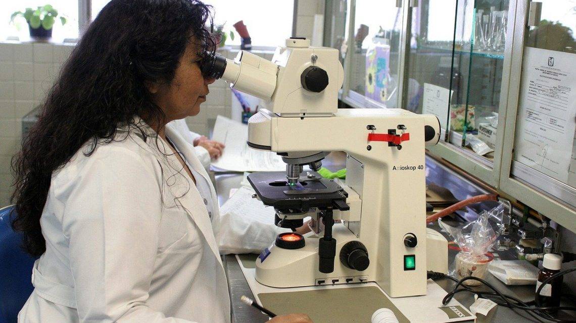 Comment devenir pharmacien Comment devenir pharmacien